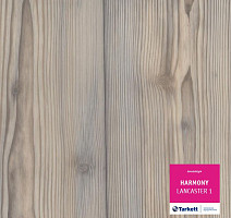 Линолеум Tarkett Harmony LANCASTER 1 фото 1 | FLOORDEALER